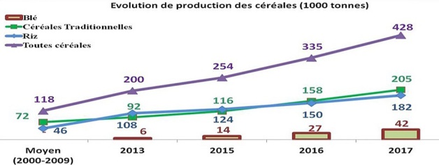 Agriculture-Mauritanie: 2/3 des terres arables improductives pour la dernière campagne ridicule de 2016