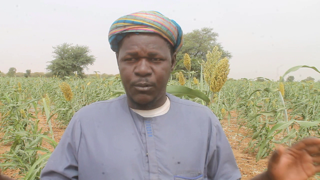 M’Bagne : Les cultivateurs de Hebiyabé-Ferralla dénoncent un accaparement déguisé de leurs terres