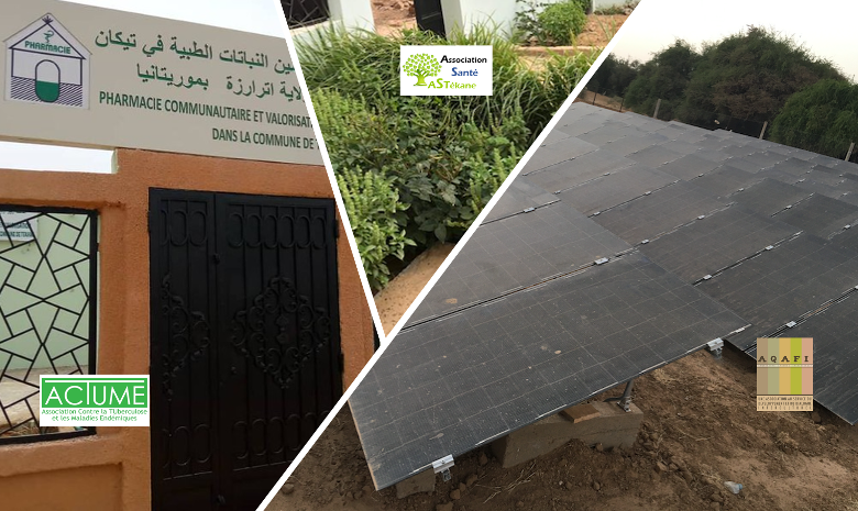 Inauguration de la Centrale de Pompage Hydraulique, la Pharmacie Communautaire et du Jardin de Plantes Médicinales de Tékane, en Mauritanie