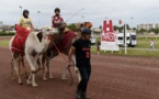 France-Mauritanie : démonstrations de course de dromadaires à l’hippodrome de Reims